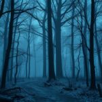 «Безумный Макс» — о чем фильм?